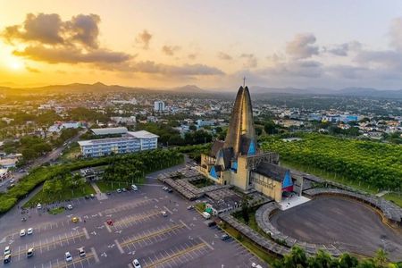  Safari and City Tours