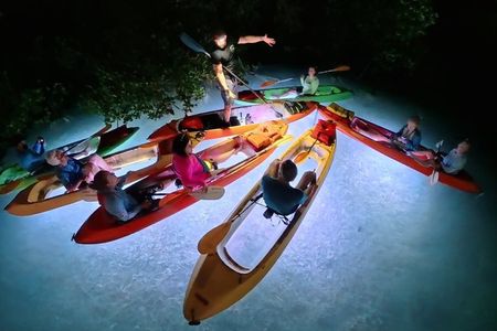 Glow And Discover, Guided Night Kayak Eco Tour in Key West