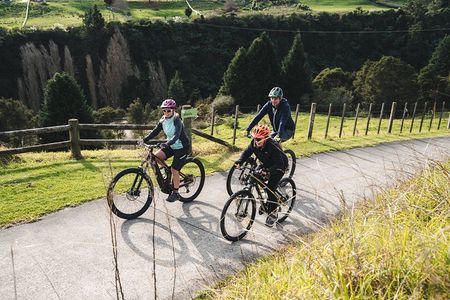 Half Day Guided Bike Tour Te Awa River Ride