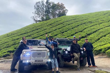 Full Day Mossy Forest Experience