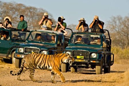 Ranthambore Private Jeep Safari Tour