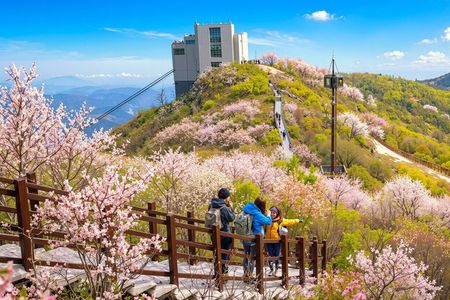 Busan Outskirts Tour with Ice Valley Cable Car & UNESCO Site