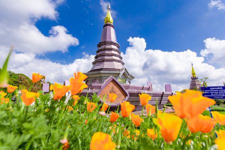 Full Day Doi Inthanon and Pha Dok Siew Trek from Chiang Mai