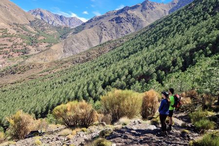 Private Atlas Mountains & Imlil Valley Day Trip from Marrakech