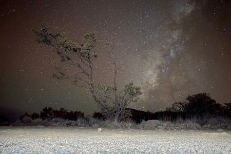 Mauna Kea Hike and Stargazing with Native Hawaiian
