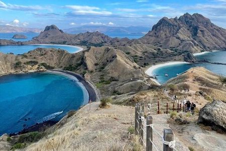 Early Morning Speedboat Tour to Komodo National Park 