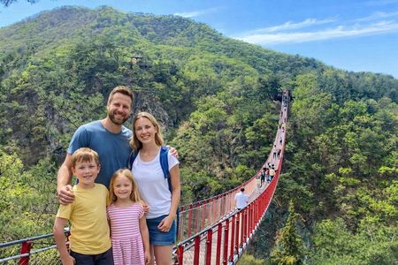 DMZ Tour from Seoul: NK Defector, 3rd Tunnel & Suspension Bridge