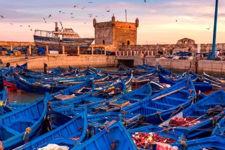 Marrakech: Small Group to Essaouira Day Tour, Unesco & Beach