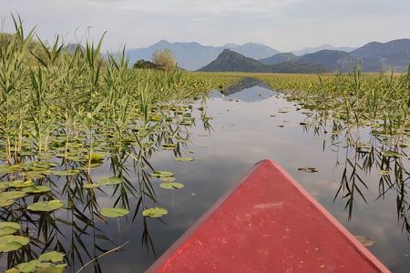 2 hour Guided Amazon Boat Tour