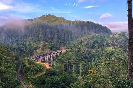  Ella Day Tour Sri lanka Nine Arch ,Train Ride & Little Adam Peak