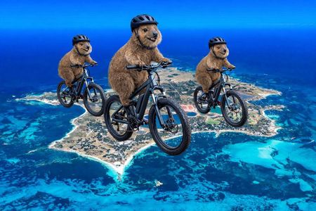 PUBLIC TOUR > Wadjemup Tour Rottnest Island E Bike Adventure