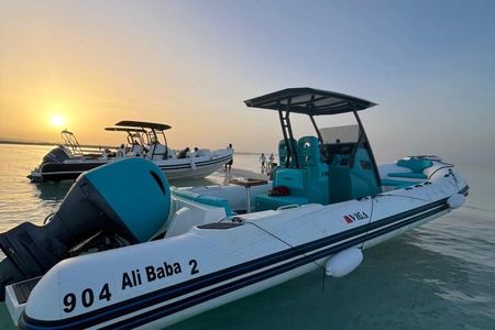 Speed Boat 4 Hours swimming with Dolphins,Snorkeling,White island