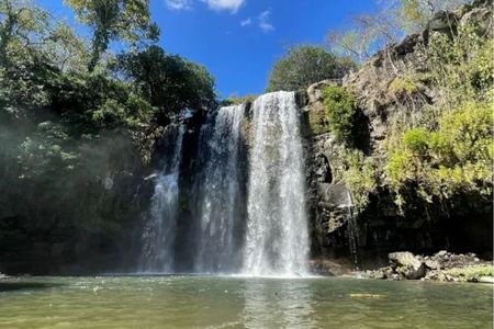 Sloth, Coffee & Chocolate Experience with Waterfall Swimming