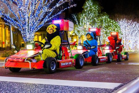 Official Street Go Kart Tour Akihabara 2nd 