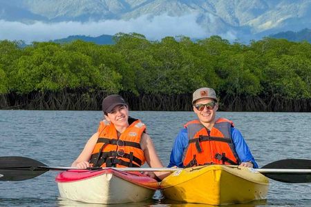 Kayaking Tour in the Mangroves of Chiriqui