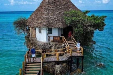 Jozani Red colobus monkey, Turtles Swim and The Rock Restaurant