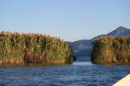 Lake Skadar Hidden Gems Boat Ride to Poseljani and Swimming