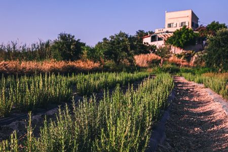 Cretan Farm Tour and Folklore Collection Visit