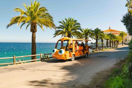 Private Guided City Tour up to 12 Passengers