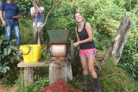 Hiking in the clouds - Sierra Nevada de Santa Marta