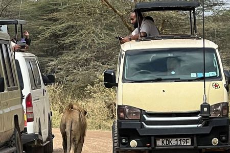 Nairobi National Park Day Safari With Dinner Option