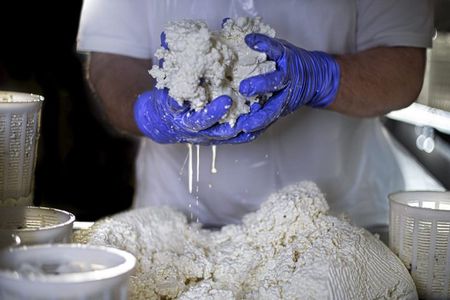 Sicilian Cheese Tour and Tasting at the Local Dairy