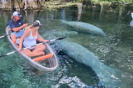 Manatees, Monkeys and Florida Natural Spring Adventure Tour 