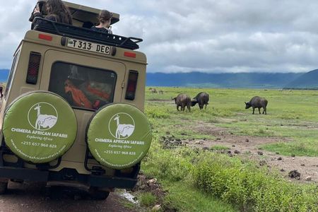 4 Day Safari in Tarangire to Serengeti and Ngorongoro Crater