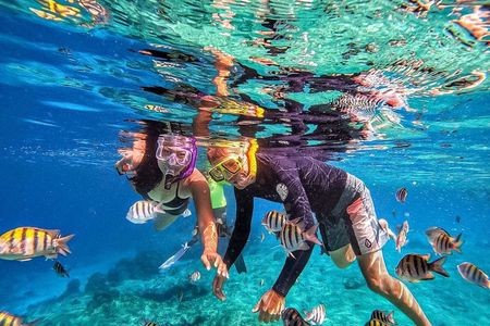 Family Fun-Snorkeling with Lunch Stop from Montego Bay