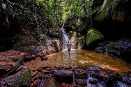 Tijuca Forest: Walk + Waterfalls + Chinese View