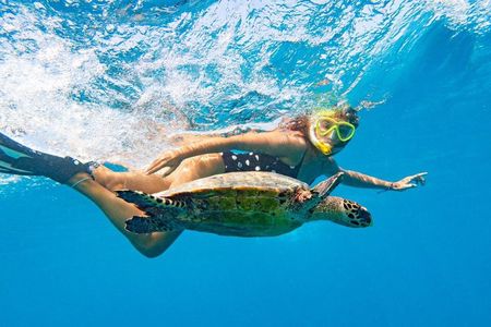 Oahu: Full-Day Circle Island Tour with Beach Stop & Free Wi-Fi