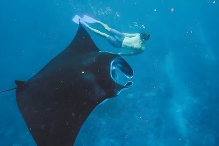 Snorkeling In Nusa Penida Island With Manta Ray From Bali
