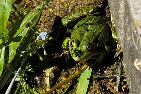 Krka Waterfalls Highlights Tour Small Group and Scenic Walks