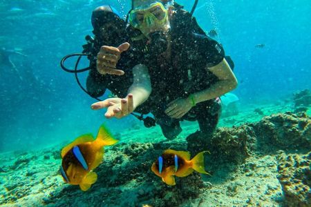 Ras Mohammed National Park Snorkeling Tour from Sharm El Sheikh