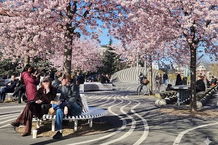 Private Nørrebro: The Coolest Neighborhood in the World