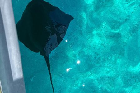 Saranda Sea Safari: Speedboat to Hidden Coves & Wild Beaches 