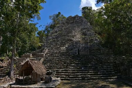Coba Private Tour Explore Mayan Ruins and Sacred Cenotes