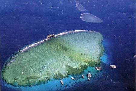 Tiran Island Snorkeling , Diving Cruise & Lunch - Sharm El Sheikh