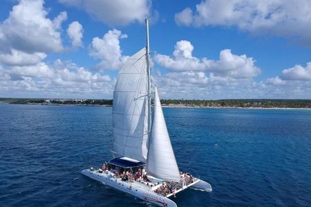 Saona Island Paradise Natural Pool Beach Time and Lunch Tour