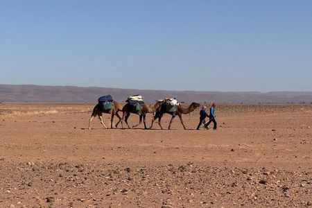 3 Day Private Camel Ride Tour from M'Hamid to Erg Ait Ounir,