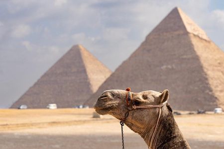Cairo Pyramids, Sphinx & Museum Day Trip from Sharm El-Sheikh