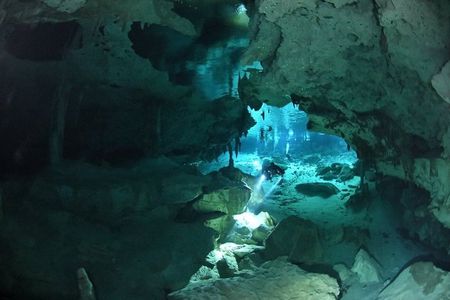 Dos Ojos Cenote Diving: Barbie Line & Bat Cave – Playa del Carmen