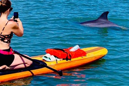 Dolphin and Manatee Kayak and SUP Adventure Tour of Cocoa Beach