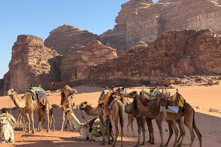 Petra Wadi Rum and Dead Sea Private 2 days Tour