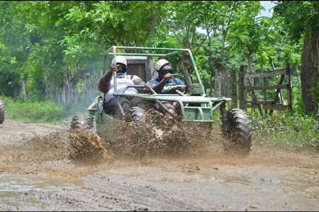 Half Day Buggy Tour