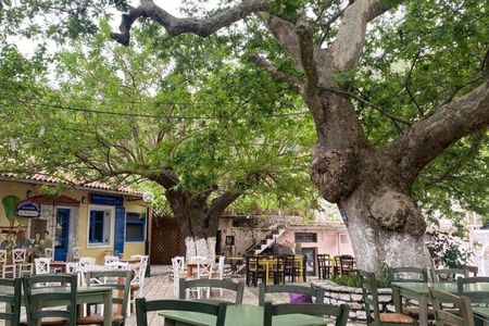 Authentic Lefkada Cultural Tour