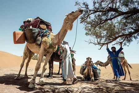 Desert Trek Morocco 3 Days