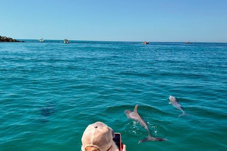 2-Hour Private Dolphin Boat Tour to Shell Island