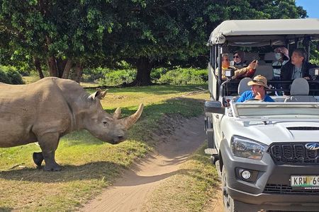 Schotia Tooth & Claw Safari (Open 4x4 Safari Vehicle)