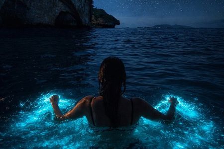 Bioluminescence & sunset local boat tour to Los Arcos Sanctuary